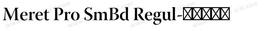 Meret Pro SmBd Regul字体转换